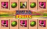 Ninja Fruits