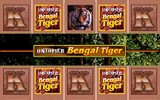 Untamed Bengal Tiger